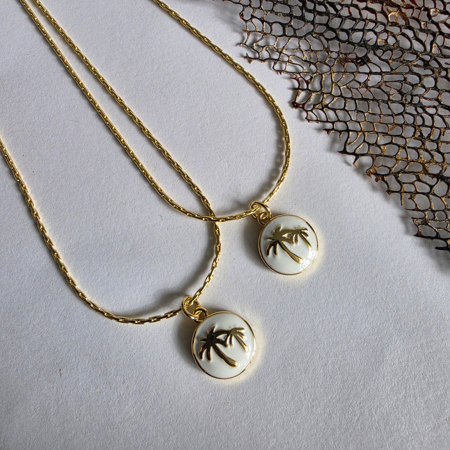 Palm Tree Coin